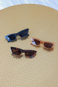 brown, black, and brown tortoise sunglasses
