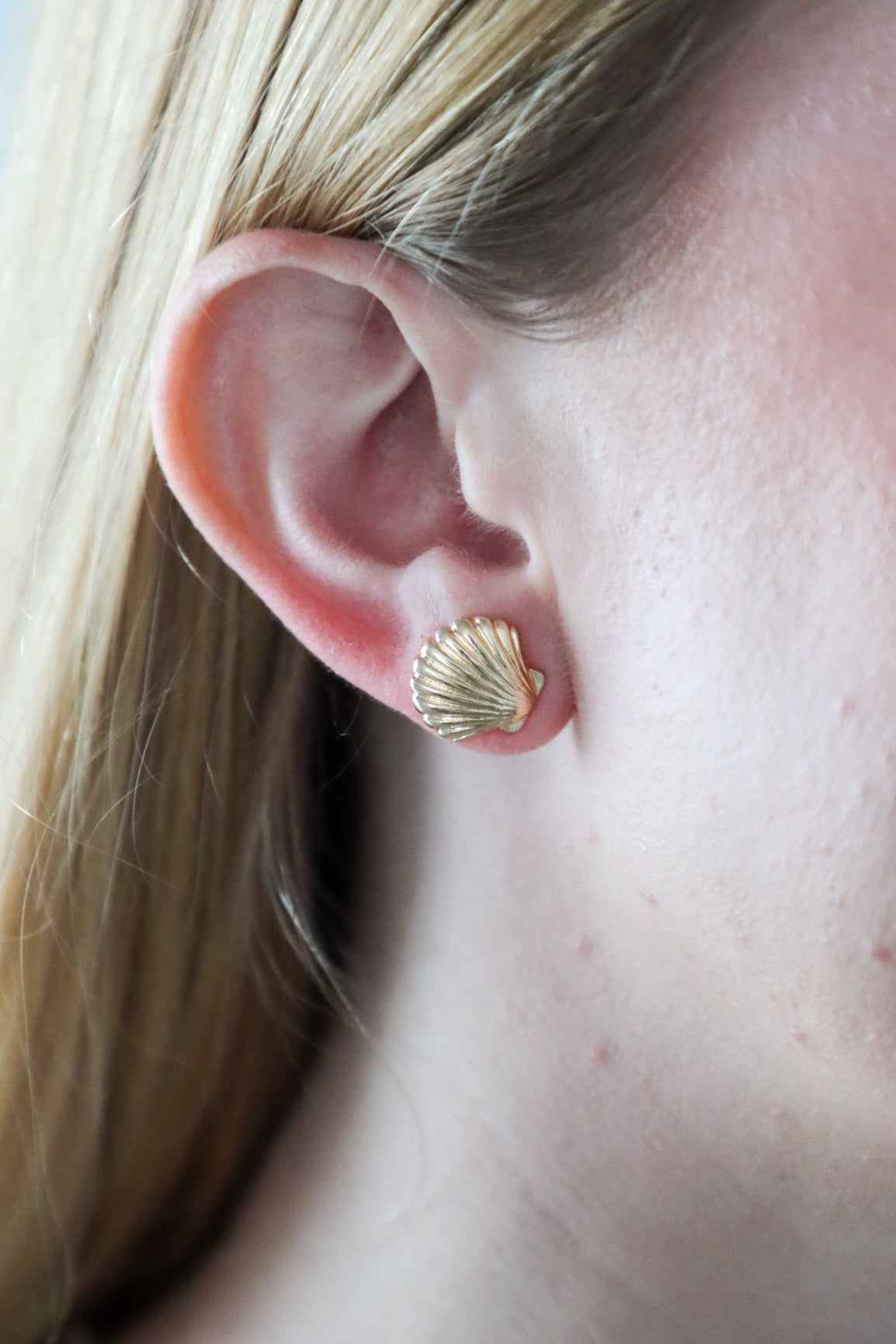 seashell post earring
