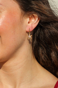 sea star gold huggie earring