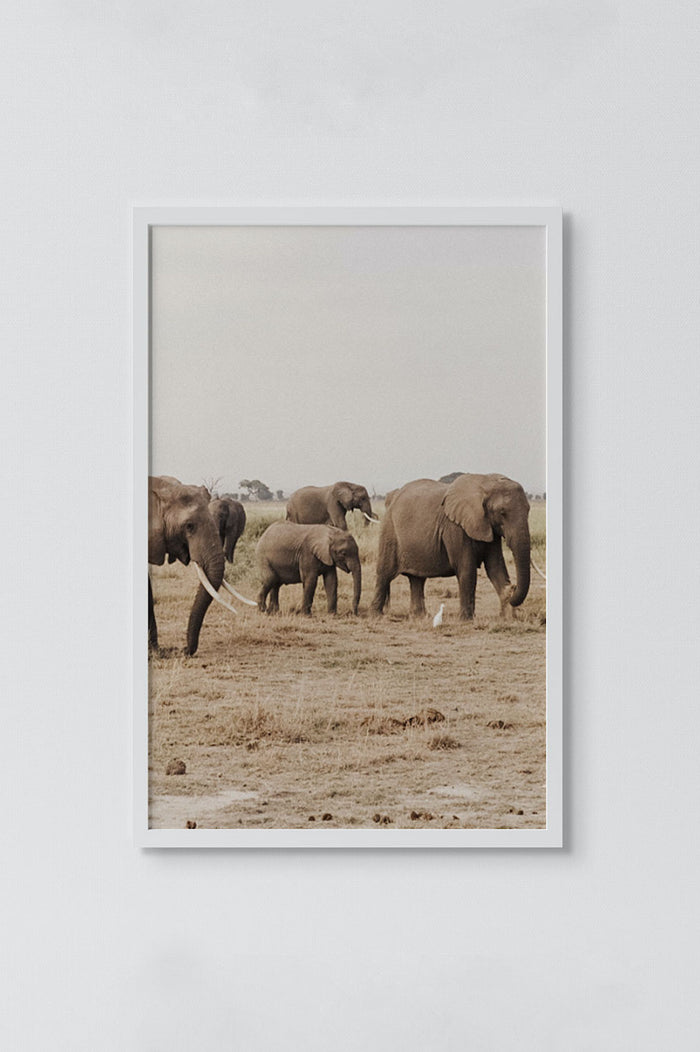 framed print of an elephant herd in the jungle