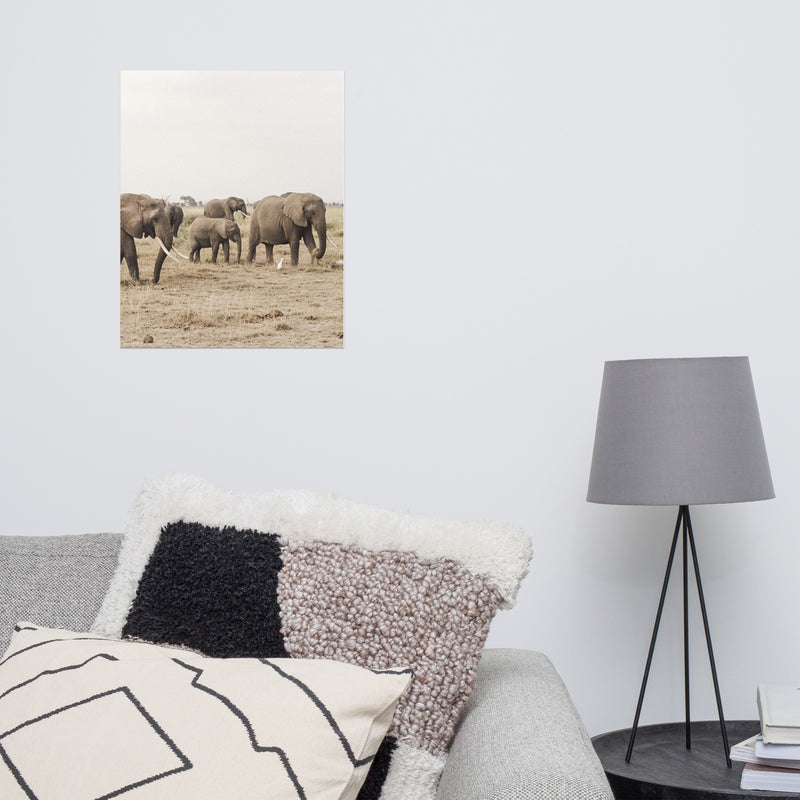 print of an elephant herd in the jungle