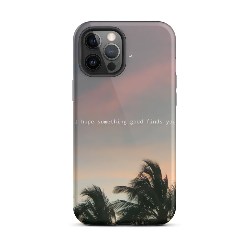 Sunset palm tree iphone case