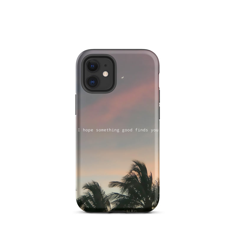 Sunset palm tree iphone case